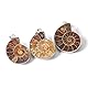 BOBEINI Natürlicher Ammonit Fossil Anhänger Schmuck Ton Silber Ammonit Fossil Stein umwickelt Anhänger Halskette Modeschmuck, Silber