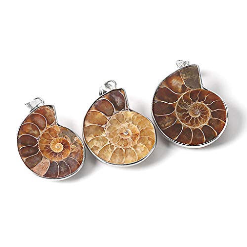 Pendentif en ammonite naturelle argenté : bijou d'exception unique