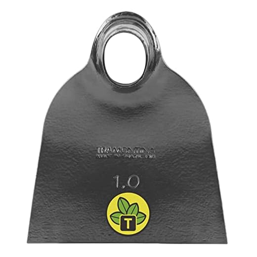 Enxada Catarina 1.0, Sem Cabo