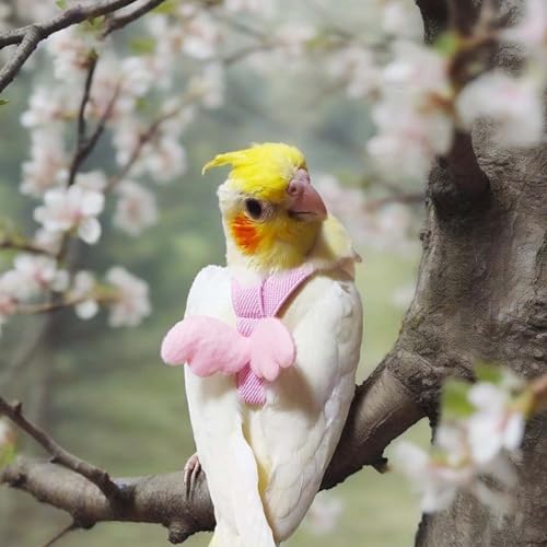Image of Adult Parrot Bird Harness, for Parrots Adjustable & Lightweight Birds Harness with Quick Release Parrot Belt for Outdoor Training of Macaws, Budgies, Cockatiels (Vibrant Pink)