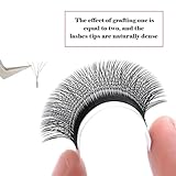 FADVAN Extensión de Pestañas 5D W 0.07D Curl Mixed 8-14mm...