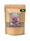 Biojoy BIO-Blaumohn Samen (1 kg), ganze Mohnsamen zum Backen