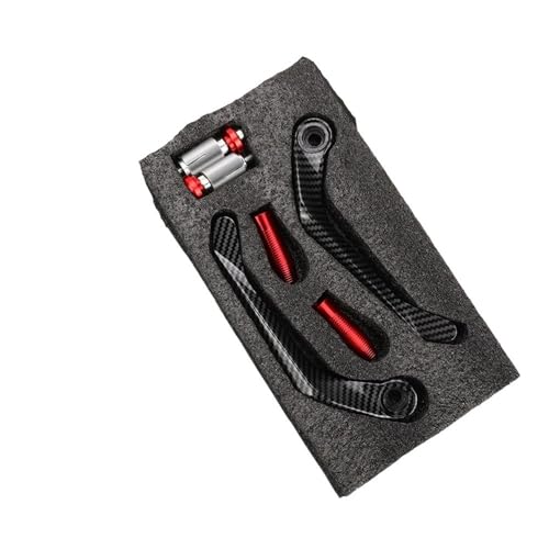 Protection de levier moto 450SR pour piste et conduite urbaine