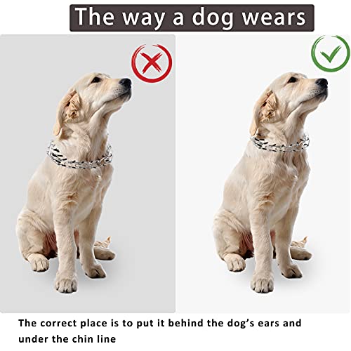 Dog Prong Collar,Choke Collar For Dogs Pinch Training Collar,Detachable Adjustable Choke Collar With Comfort Rubber Tips, Metal Adjustable Large Middle Dog Pet Pinch Collar #TOP4