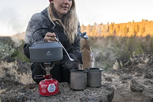Cuillère de camping longue MSR Alpine en acier inoxydable pour bivouac