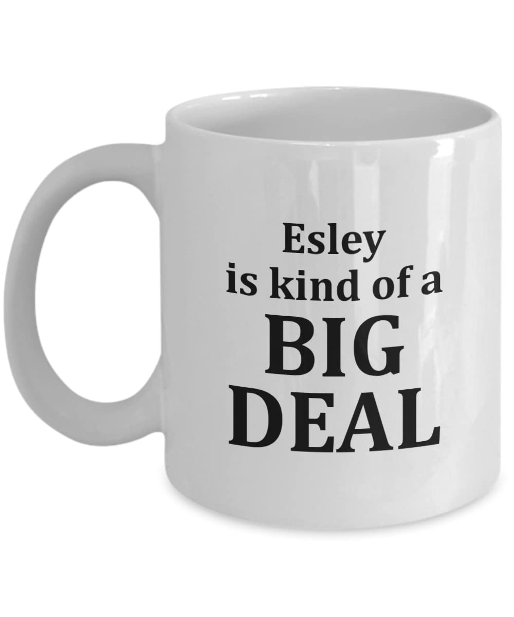 Esley Coffee Mug With Name I'm Kind of a Big Deal Cup Funny Work Gifts for Co-worker Women Men Boss Office 11oz Playful Fox PFX67A