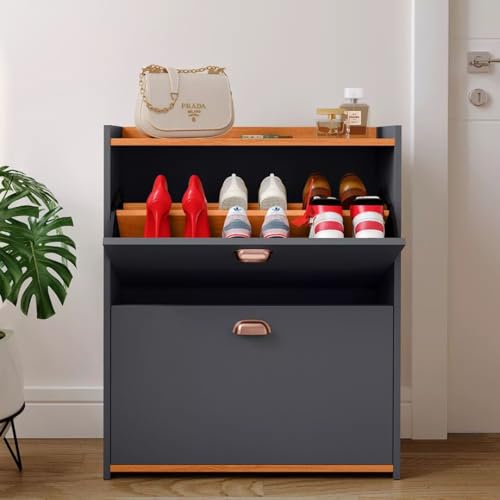Sapateira Closet 2 Gavetas Basculantes Organizadora 12 Pares Quarto Hall De Entrada Multiuso (Cinza)