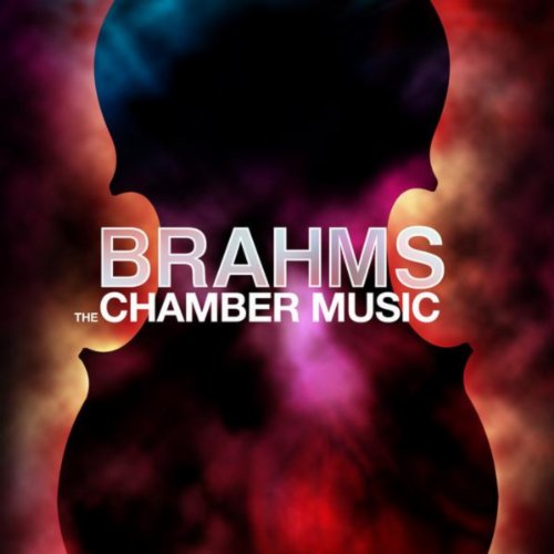 Johannes Brahms & St. Petersburg Camerata Quartet