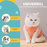 Avont Katzenbody nach OP Erholungsanzug Kleidung Modal Recovery Kastration Spay Entwöhnung Leckschutz Suit für Katze, Bauchwunden oder Hautkrankheiten-S-Koralle