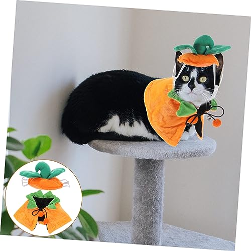 Disfraz capa y gorro de Calabaza Halloween para perros y gatos miniatura 7