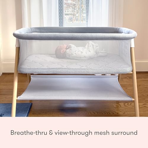 Image of Newton Baby Essential Bassinet | Includes Breathable Crib Mattress, Portable Design, Mesh Walls, Built-in Storage Shelf, Grey