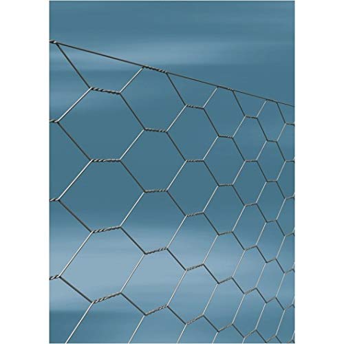 T51100/10 - Triple Torque Mesh 51/0.9/100 gal.en r/10mt