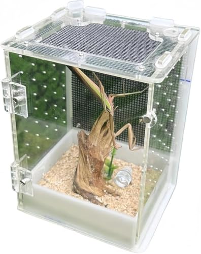 DancJulieJ}L甠 AN ঒ރeE P[X  ώ@e a{bNX VF^[ CǍD T w T\ nlY~ wr JG ώ@ ybgp ()