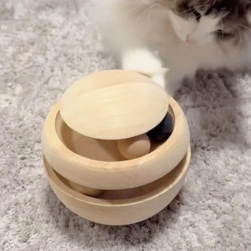 Lpi  OOځ[ ؐ VR {[ ] XgX dr