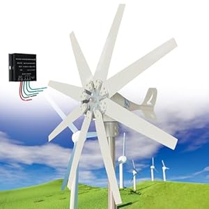 DDZJTPP Generador De Turbina Eólica 10000w, Generador De Molino De Viento 12v 24v 48v Generador De Energía Eólica De 8 Palas con Controlador Mppt,Velocidad del Viento De Arranque De 2m/S,48v