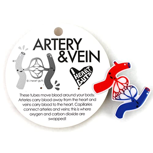 Image of I Heart Guts Artery & Vein Lapel Pin - Life's Bloody Great - Funny Blood Donor Gift - Cute Hematology Phlebotomy Pins for Badge Reel - Blood Character Art