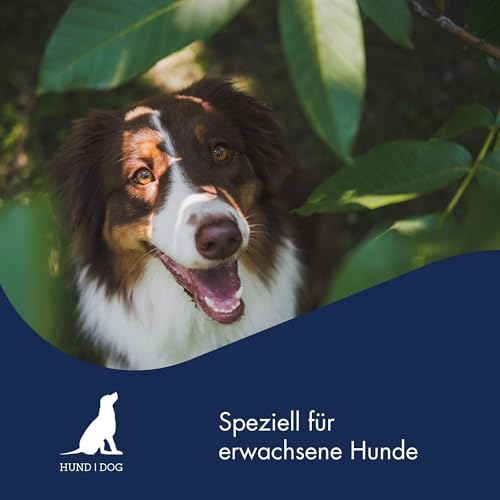 DR.CLAUDER'S - B.A.R.F. Komplett Menue Rinderteller | Fleischeintopf mit 100% Muskelfleisch, Innereien und Gemüse für ausgewachsene Hunde. Alleinfutter in der Dose | 800g Rind