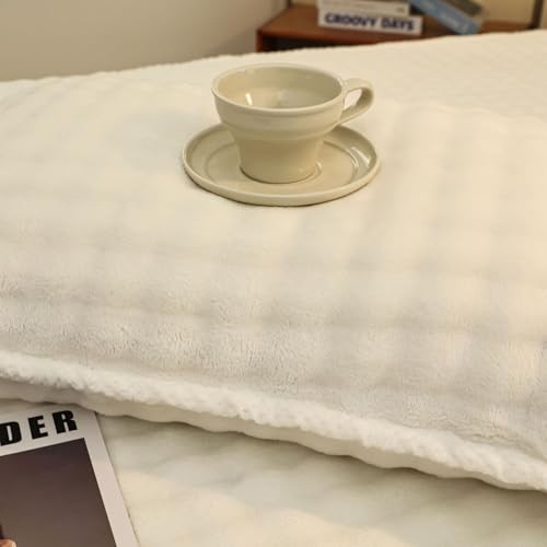 Funda de colchón acolchada de terciopelo leche Queen, protector de franela premium 4