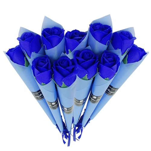  o \[vt[ V{t[ KN ͂Ȃ Ό lH A[gt[ lC ʐ^Be v|[Y a ̓  j ʉ 10{ 