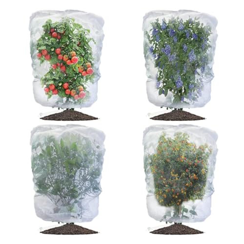 plant covers vegetable