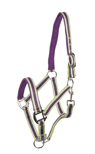 PFIFF Livorno - Cavezza in plastica