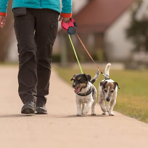 Laisse double rétractable pour chien robuste en nylon avec lampe torche - 8