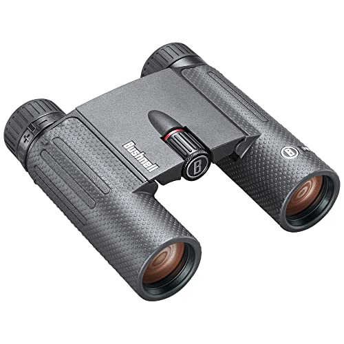 Image of Bushnell 10x25mm Nitro Binocular Black Roof