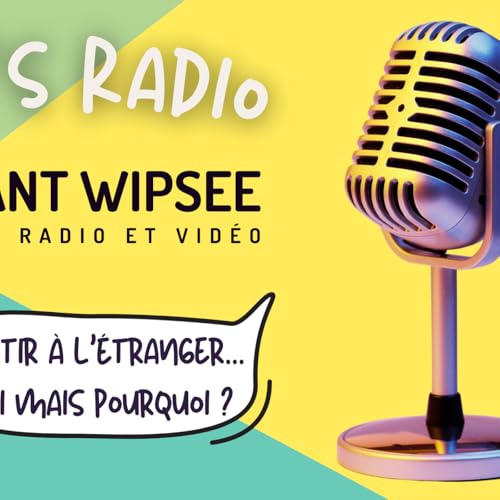 &Eacute;pisode 6 - Partir &agrave; l'&eacute;tranger... Oui mais pourquoi ?