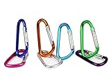 Valgens D Shape Spring-loaded Gate Aluminum Carabiner for Home, Rv, Camping, Fishing, Hiking, Traveling and Keychain Small Size(Assorted Colors Pack of 5)