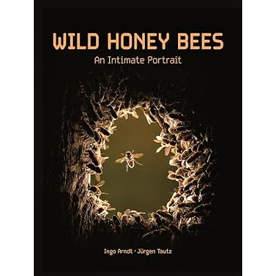 Wild Honey Bees