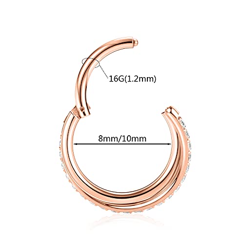 16G Helix Earrings Conch Hoop Ring Cartilage Earring Hoop Surgical Steel Daith Tragus Rook Earrings Rose Gold Septum Jewelry Seamless Clicker Nose Rings Hinged Segment Ring Lobe Earrings 10Mm #TOP1