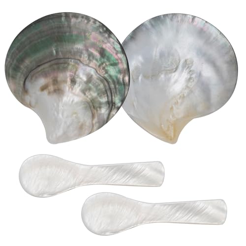 ZUDKSUY 4 Pcs Caviar Serving Set, Includes 2 Black Mother