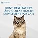 PRN Pharmacal Duralactin Feline L-Lysine Paste for Cats & Kittens - Supports Feline Joint, Respiratory & Ocular Health - Natural Chicken-Flavored Paste to Help Manage Soreness - 32.5mL (3 Pack)