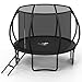 Trampoline Outdoor 10 FT Trampolines with Enclosure Net and Ladder，Round Recreational Trampoline for Kids and Adults with ASTM Approval, Anti-Rust Coated Frame, Thickened Spring Mat