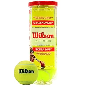 WILSON Championship Tennis Balls