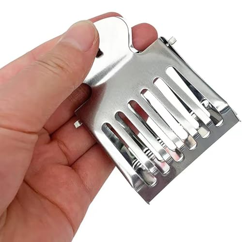 GSHLLO 2 peças de gaiola de apicultura de aço inoxidável para apicultura, apanhador de abelhas, rain