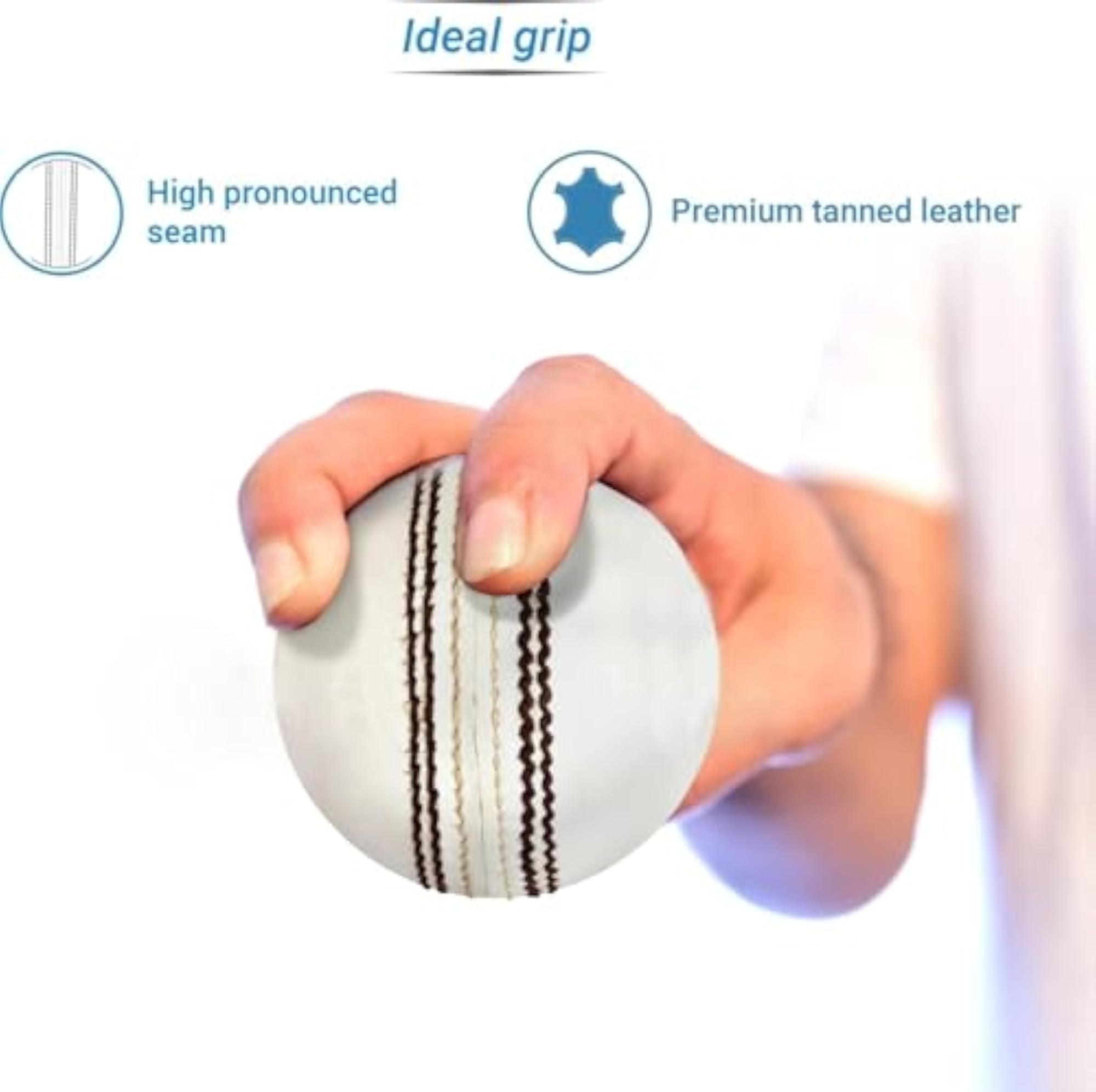 Pack of 2 Red and Cricket Leather Ball Combo