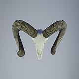 Hi Life Living Nature