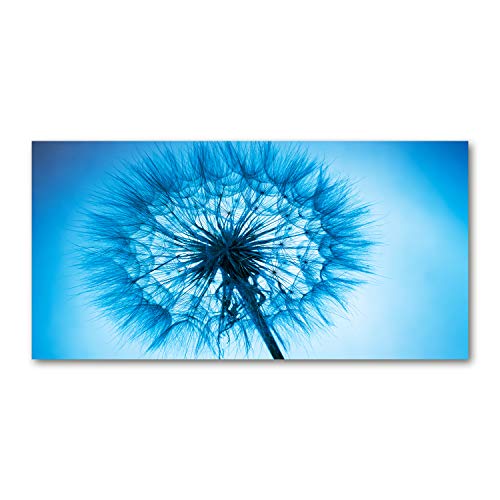 Fond de hotte verre trempé 100x50cm bleu crédence de cuisine fleurs