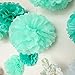 Fonder Mols Fluffy Tissue Pom Poms Paper Flowers Kit Party Hanging Flowers Ball for Wedding Birthday Bridal Baby Showers Nursery Decor(Set of 12,Mint White Green)