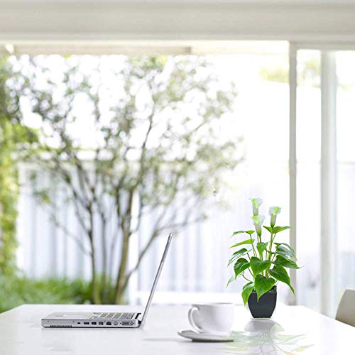 Artificial Flower Calla Lily Faux Small Potted Plant With Black Pot Fake Bonsai Flower For Home, Office, Indoor And Outdoor Occasions Decor (White Fake Flower) #TOP3