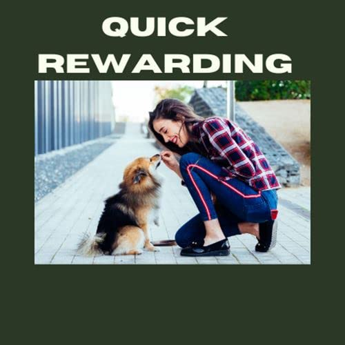 Talk To The Paw Dog Walking Bag - Training Treat Pouch - Poop Bag Dispenser - Dog Treat Bag With Hands Free Leash (Black) #TOP7