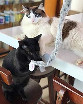 Pawise Kedi Oltası Peluş Tüy Kuyruk 36 Adet Kutulu