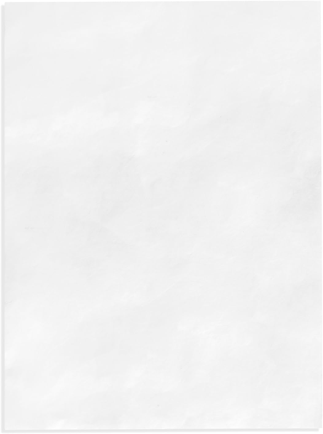 100 9x12 Tyvek Envelopes, Self Seal 9 x 12 Catalog Mailer, Ultra Strong 14lb Tear Resistant Material, Designed for Secure Mailing, Strong Peel and Seal Flap, 100 Envelopes