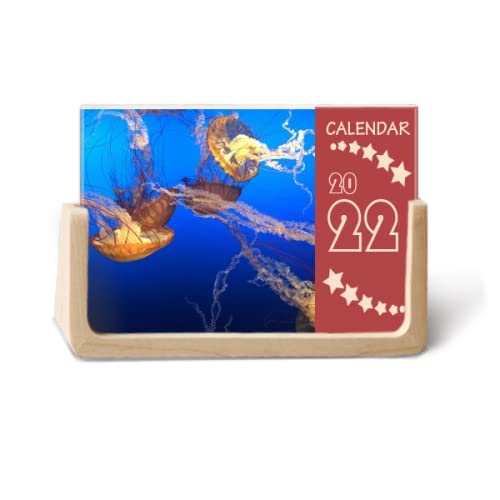 Calendrier de bureau 2022 12 mois planning mensuel méduses