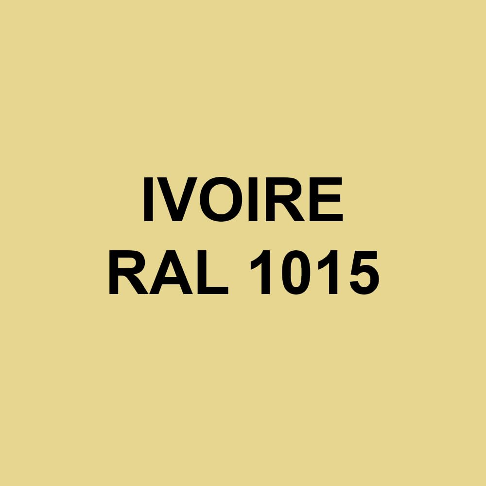 Gelcoat Polyester Piscine | 1 kg | Ivoire RAL 1015 | + Catalyseur PMEC + Pipette de dosage 3 ml, Gel Coat pour Rénovation et Finition Bassin Polyester