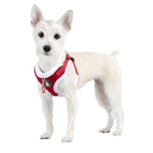 Harnais C pour chien Puppia Blitzen rouge en taille M pour balade
