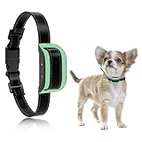 best bark collar for pomeranian