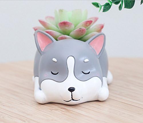 Youfui Cute Planter Animal Shaped Cartoon Home Decoration Succulent Vase Flower Pots (Sleep Husky)