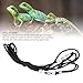 CHICIRIS Lizard Traction Rope, Multifunctional Nylon Comfortable Abrasion Reptile Leash Adjustable for Training (Deep Green
